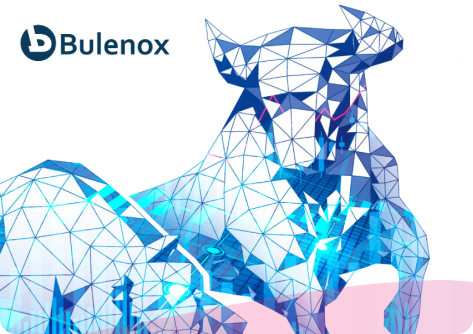 Bulenox prop firm